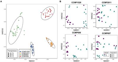 The microbiome of the dinoflagellate Prorocentrum cordatum in laboratory culture and its changes at higher temperatures
